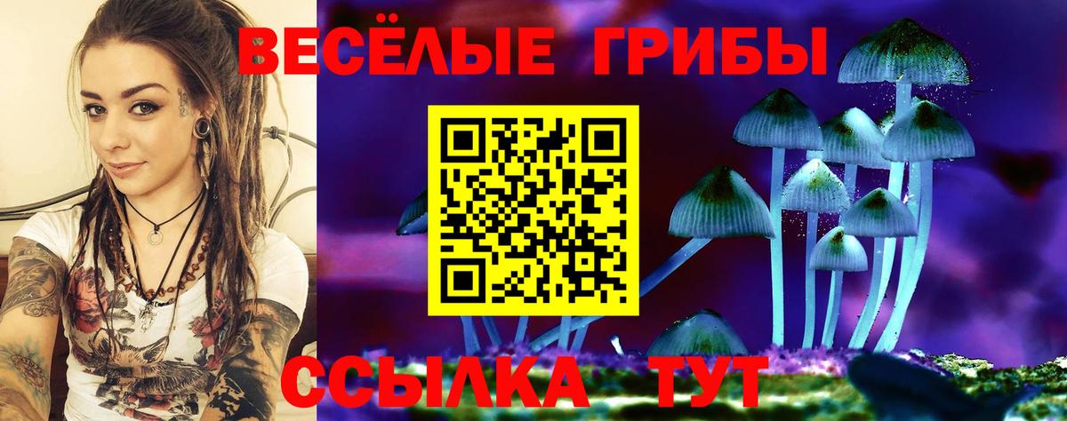 купить   Псилоцибиновые грибы ЛСД  Вход с VPN  Гуково 